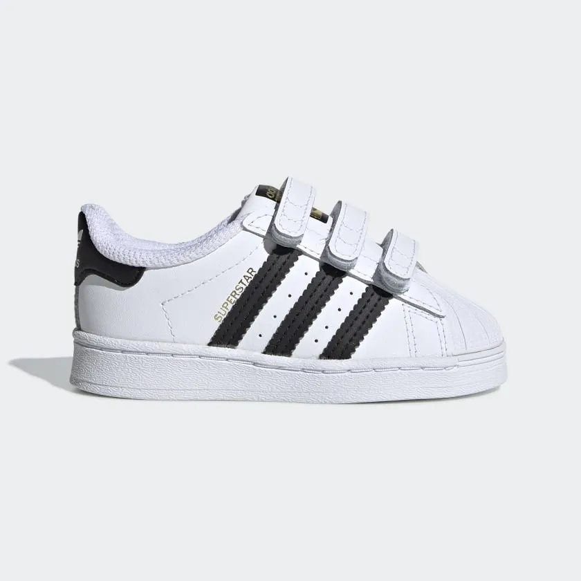Superstar Sneakers (Cloud White   Core Black)