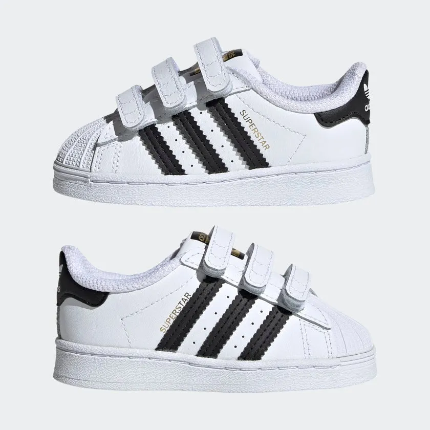 Superstar Sneakers (Cloud White   Core Black)